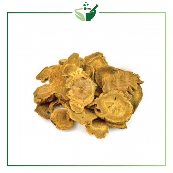 Rhubarb Root Powder-01